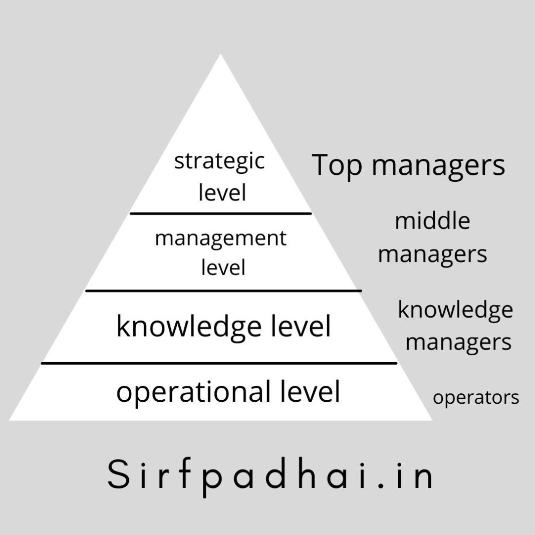 What Are The Five Types Of Information Systems Users